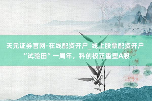 天元证券官网-在线配资开户_线上股票配资开户 “试验田”一周年，科创板正重塑A股